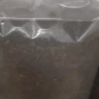 چای برای کافه