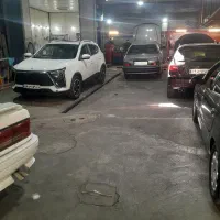 صافکار و نقاش