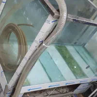 اکواریوم قزل زنده|فروشگاه و مغازه|داراب, |دیوار