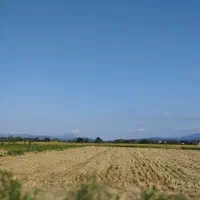 زمین کشاورزی