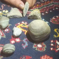 فروشی و توافقی