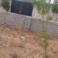 فروش زمین350متر دماوند سیدآباد سندتک برگ/معاوضه|فروش زمین و ملک کلنگی|تهران, تهرانپارس غربی|دیوار