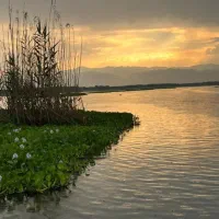 اسکله VIPتالاب گردی و قایق سواری اسکی روی آب بندر|تور و چارتر|بندر انزلی, قلم گوده|دیوار