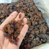 کشمش شیرین گله پاک شده و قیمت خوب|خوردنی و آشامیدنی|اصفهان, زهران|دیوار