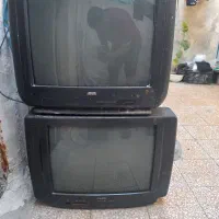 تلویزیون