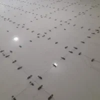 کاشی کاری سرامیک کار کاشی کار کاشی چسبی کاشیکار|خدمات پیشه و مهارت|رشت, گلسار|دیوار