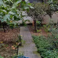 مشارکت در ساخت کوی گلشن|مشارکت در ساخت املاک|ساری, |دیوار