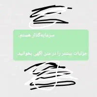 سرمایهگذاری میکنم و راهنمایی
