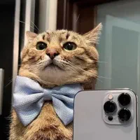 گوشی طرح s24الترا