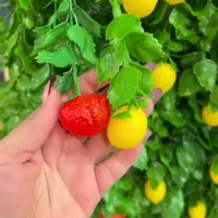 آویز لیمو