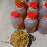 عسل خارشتر
