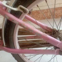 دوچرخهسواری ۲۴