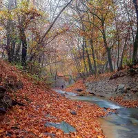 زمین ۳۰۰متری کنار رودخانه اغشت