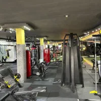 باشگاه پرورش اندام دیاکو Vip