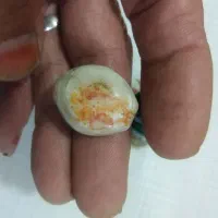 هنر باستانی|کلکسیون اشیاء عتیقه|بجنورد, |دیوار