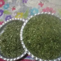 سیر کوهی و ترشی