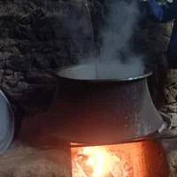 شیره انگور باغی