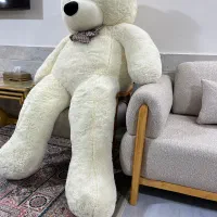 خرس بزرگ|کلکسیون و سرگرمی|بیرجند, |دیوار