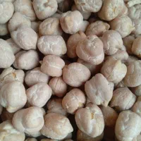 حبوبات داریم