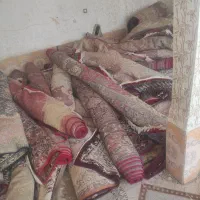 بار جدید فرش دسته. دوم رسیدآدرس ۲۲بهمن ۳