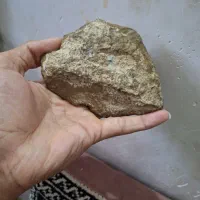 فسیل بسیار زیبای امونیت|کلکسیون اشیاء عتیقه|نیشابور, هفده شهریور|دیوار