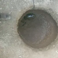 کندن چاه فاضلاب|خدمات پیشه و مهارت|خمین, |دیوار