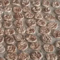 فروش نان خشک