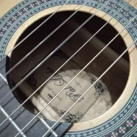 گیتار|گیتار، بیس، امپلیفایر|اردبیل, |دیوار