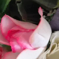 گل مصنوعی شیک|گل مصنوعی|تبریز, |دیوار