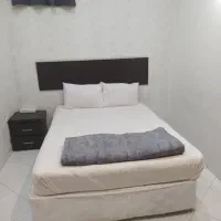 کربلا فوری ۱۵ و ۲۰|تور و چارتر|بروجرد, |دیوار