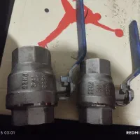 شیر دوسر ولوله بر منازل برشکاری