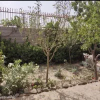 سه واحد مسکونی مستقل در باغچه ۵۰۰متری ، تهاتر|فروش خانه و ویلا|مشهد, کلاته برفی|دیوار