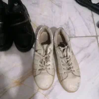 تعدادی کتونی