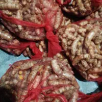 عصاره زرد چوبه تازه و زنجبیل تازه|خوردنی و آشامیدنی|شیراز, سفیرشمالی|دیوار