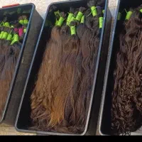 موی رنگی و خام بالاترین قیمت در سطح کشور