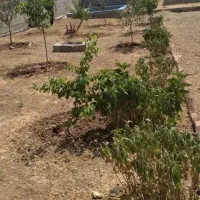 باغ ۵۰۰متری مرند روستای ارلان|فروش خانه و ویلا|کشکسرای, |دیوار