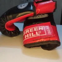 دستکش بوکس|تجهیزات ورزشی|مشهد, نوید|دیوار