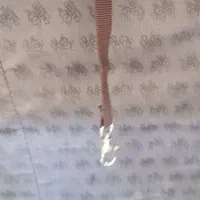 کوله حمل پت|لوازم جانبی حیوانات|مشهد, ایثار|دیوار