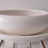 استند و گل طبیعی|گل و گیاه طبیعی|بیرجند, |دیوار