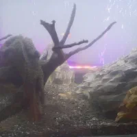 آکواریوم شیشه خم|ماهی|ری, سیزده آبان|دیوار