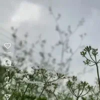 نیاز پول وعدهای ۱۰ ملیون