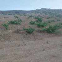 زمین-باغشهری-سعدی