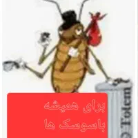 سم پاشی و طعمه گذاری برای ازبین بردن سوسک