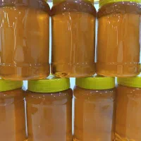 عسل درجه یک مرکبات و گون از تولید به مصرف