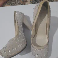 کفش مجلسی