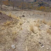 حول وحوش 200مترزمین روبه روی کلانتری جدید|فروش زمین و ملک کلنگی|بابا حیدر, |دیوار