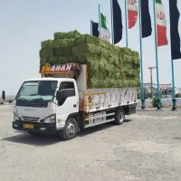 شیلر.۶تن|خودرو سنگین|بردسیر, |دیوار