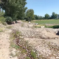 زمین-یارلخ
