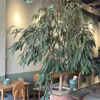 فروش کلی وسایل رستوران|کافیشاپ و رستوران|تهران, شیراز|دیوار