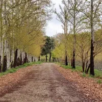زمین/ باغ ۸۳۰ متری سنددار در مهرشهر خیابان چمن